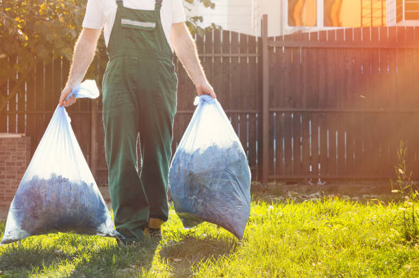 Best Junk Hauling Services  in Sand Ridge, NY